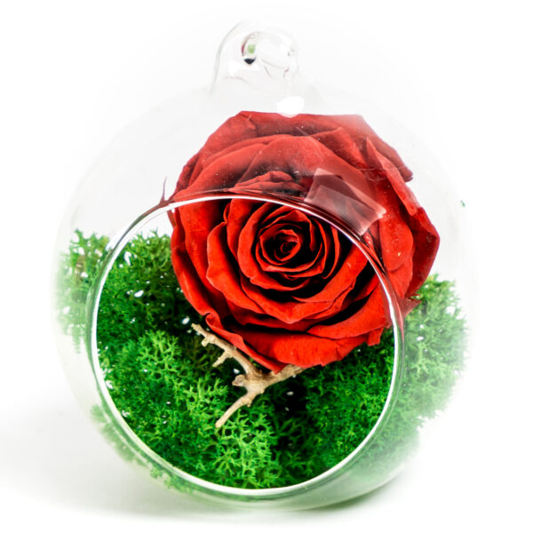 Glob sticla cu trandafir criogenat Florarie Targoviste Livrare Flori Targoviste