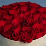 Cutie Deluxe cu 21 Trandafiri rosii