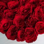 Cutie Deluxe cu 21 Trandafiri rosii