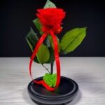 Trandafir Criogenat Rosu in Cupola 25 cm Florarie Targoviste Livrare Flori Targoviste