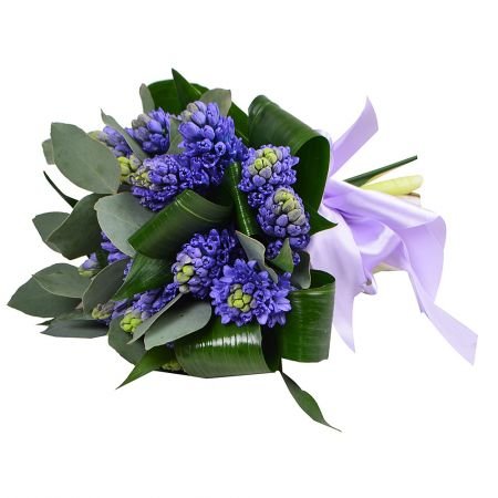 Buchet 13 zambile parfumate Florarie Targoviste Livrare Flori Targoviste