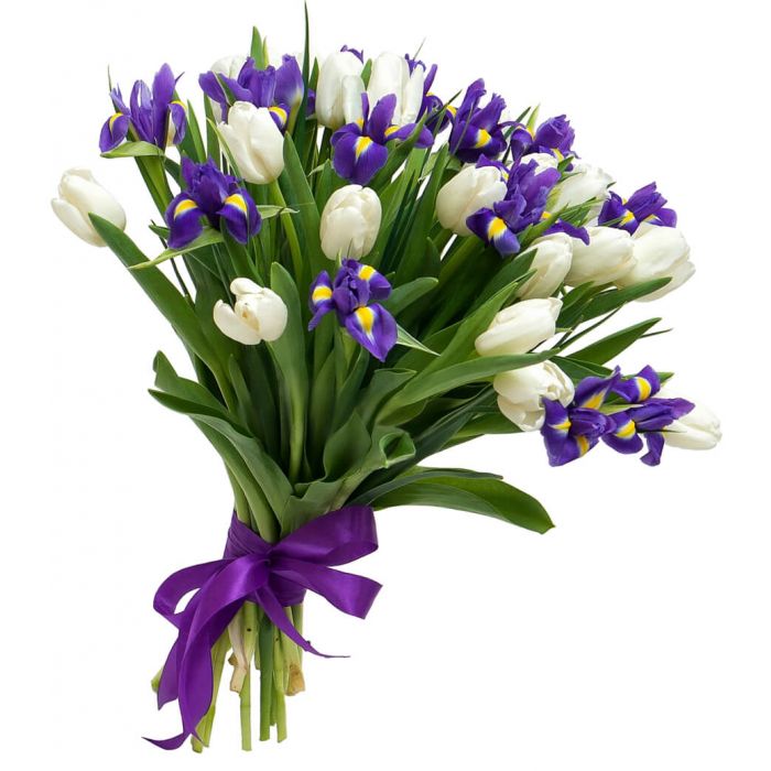 Buchet 21 lalele albe si 10 irisi Florarie Targoviste Livrare Flori Targoviste