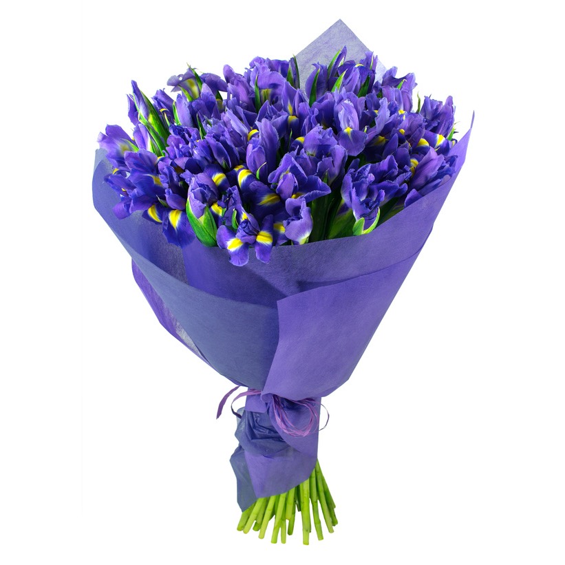 Buchet 25 irisi Florarie Targoviste Livrare Flori Targoviste