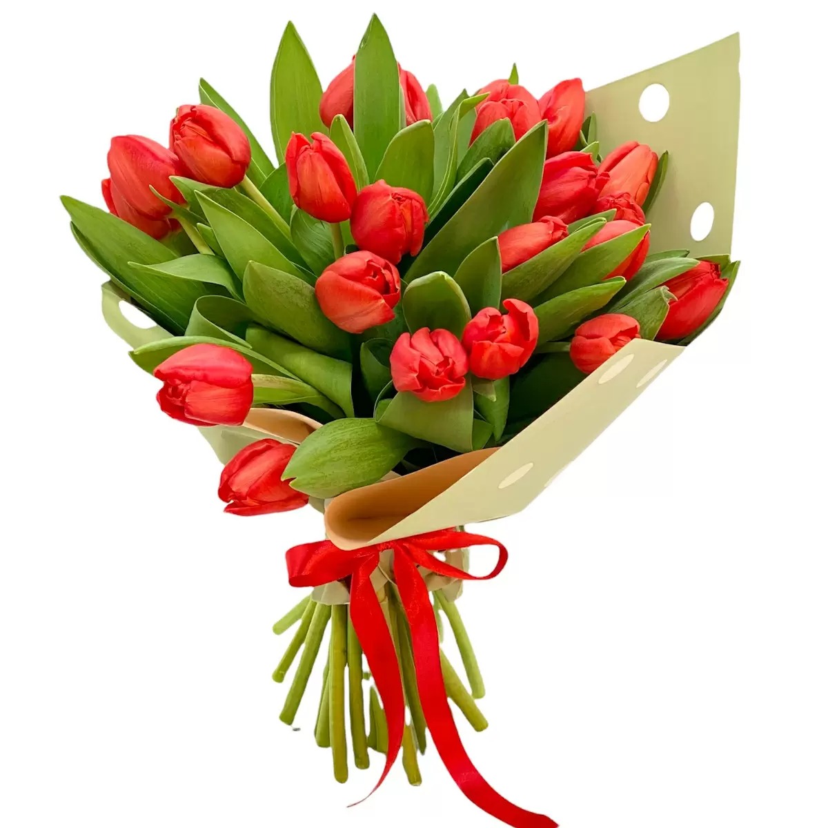 Buchet 25 lalele rosii Florarie Targoviste Livrare Flori Targoviste