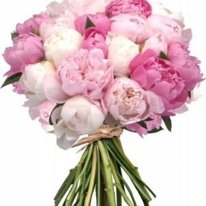 Buchet 21 Bujori albi si roz Florarie Targoviste Livrare Flori Targoviste The Flower Box.