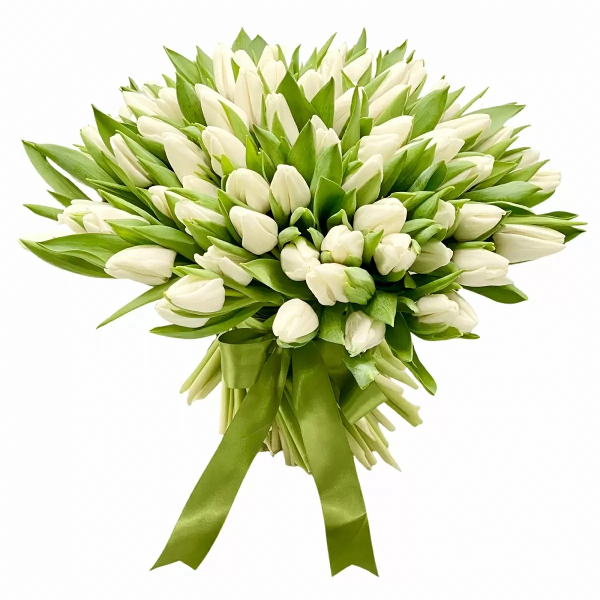 Buchet 101 Lalele Albe Florarie Targoviste Livrare Flori Targoviste