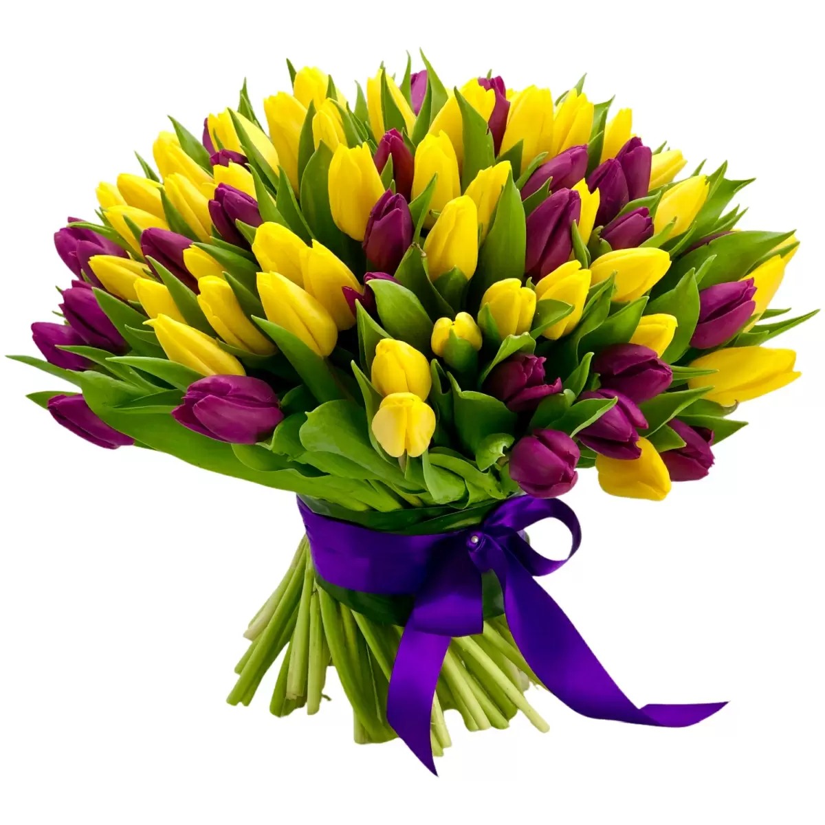 Buchet 101 Lalele Duo Galben-Mov Florarie Targoviste Livrare Flori Targoviste
